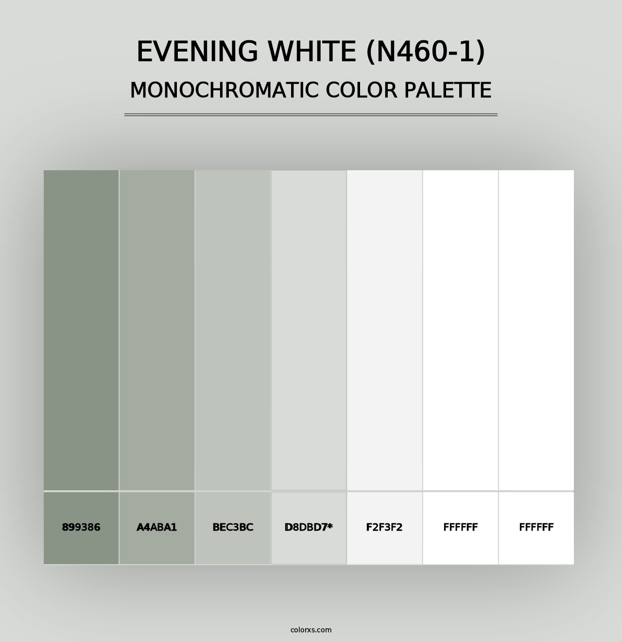 Evening White (N460-1) - Monochromatic Color Palette