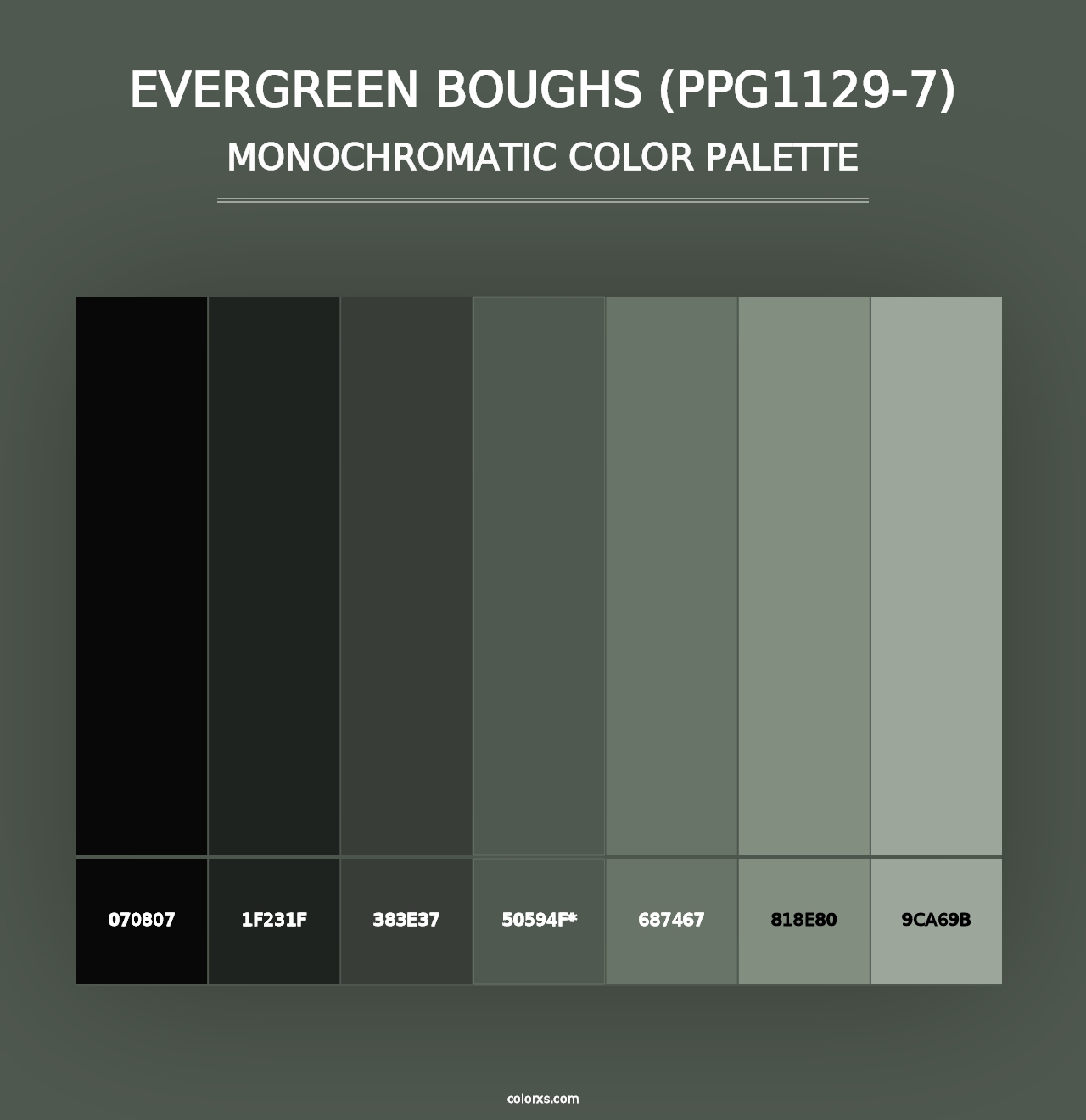 Evergreen Boughs (PPG1129-7) - Monochromatic Color Palette