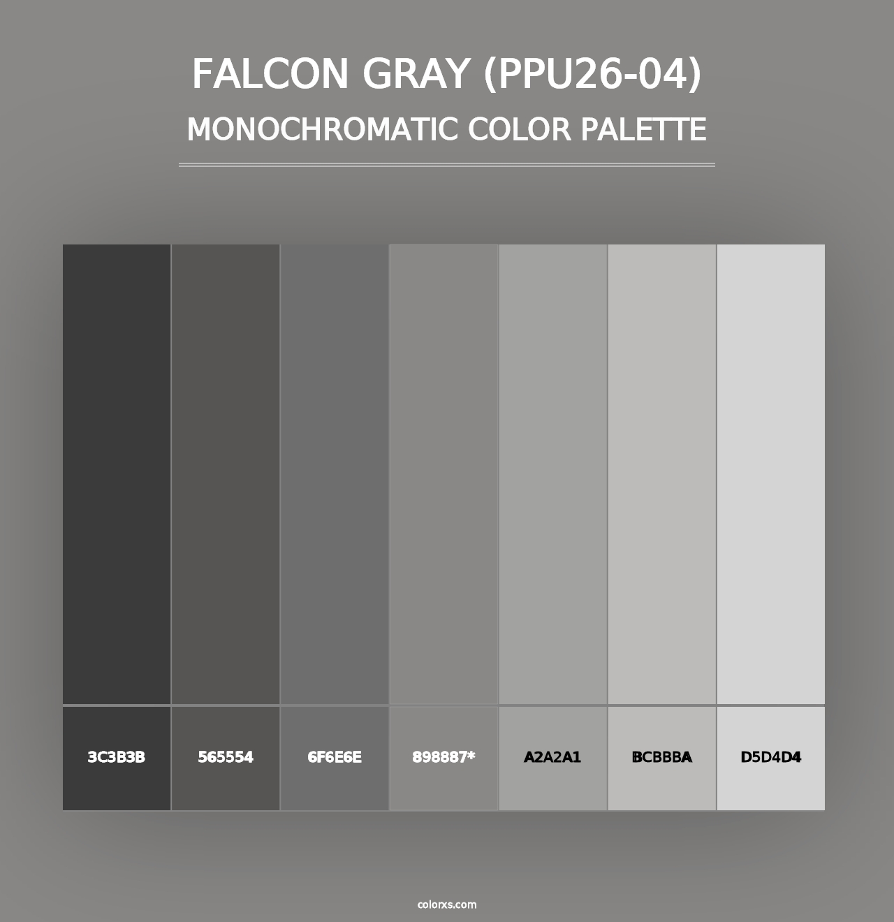 Falcon Gray (PPU26-04) - Monochromatic Color Palette