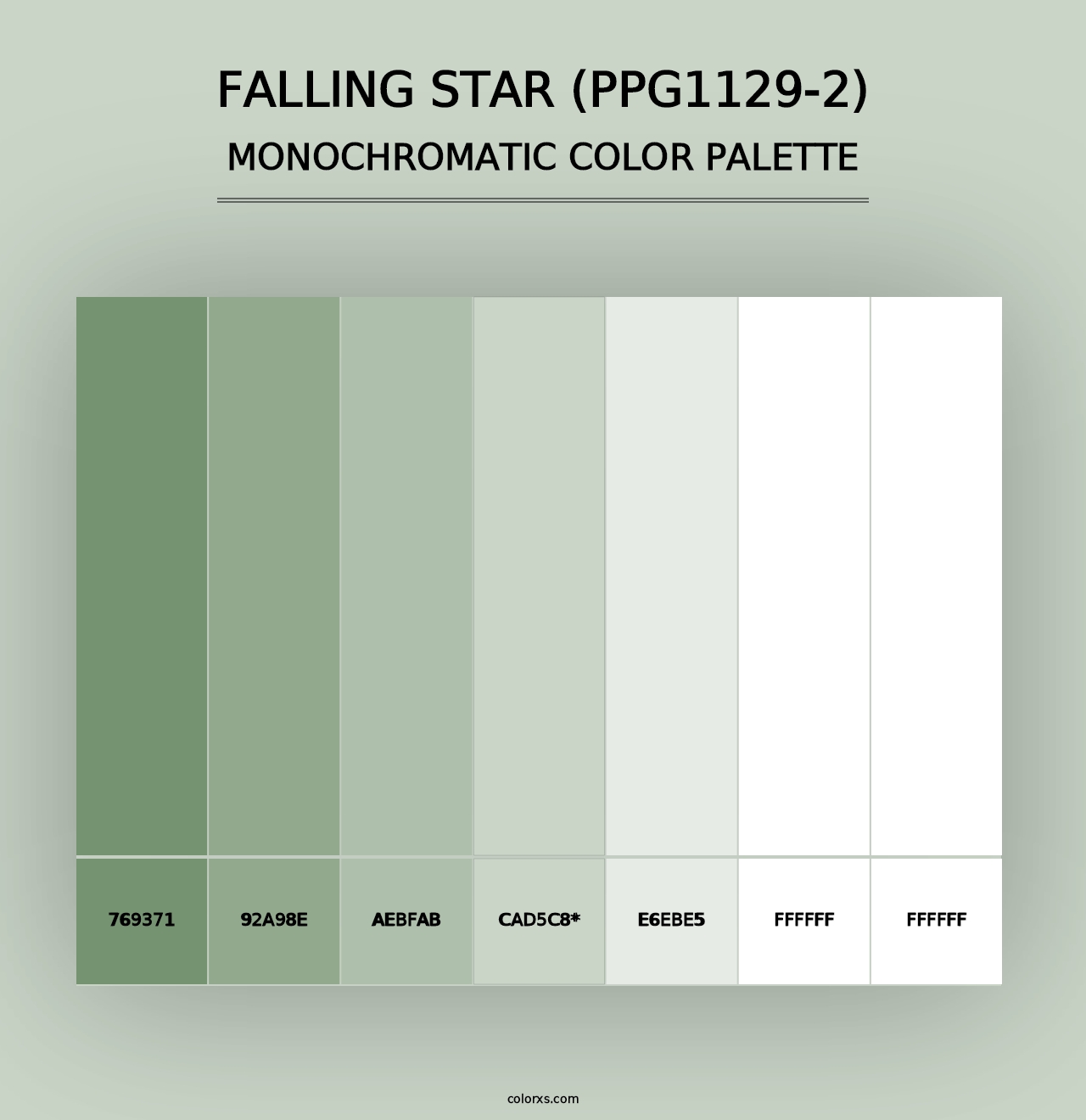 Falling Star (PPG1129-2) - Monochromatic Color Palette