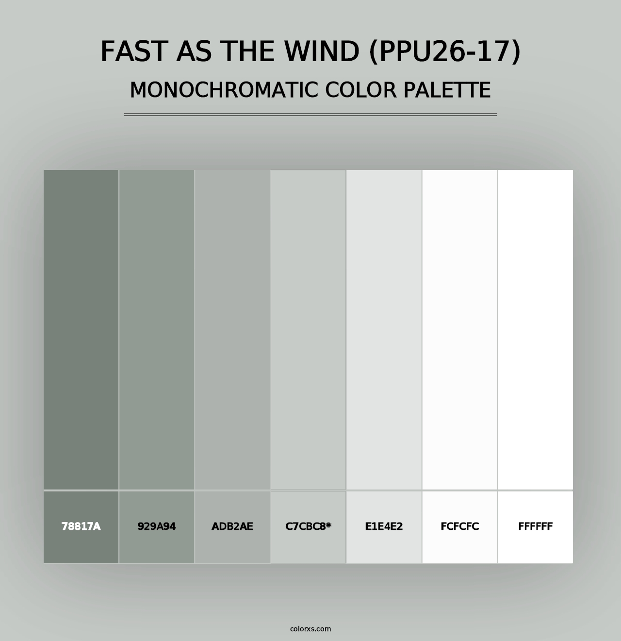 Fast As The Wind (PPU26-17) - Monochromatic Color Palette