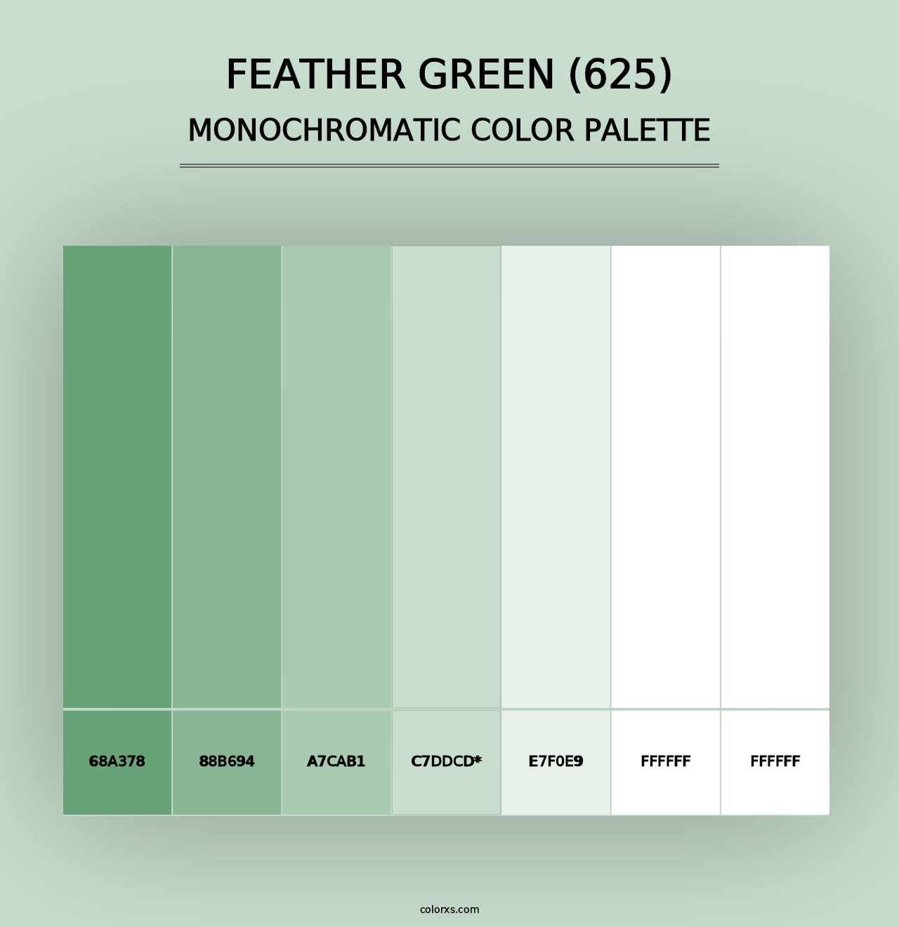 Feather Green (625) - Monochromatic Color Palette