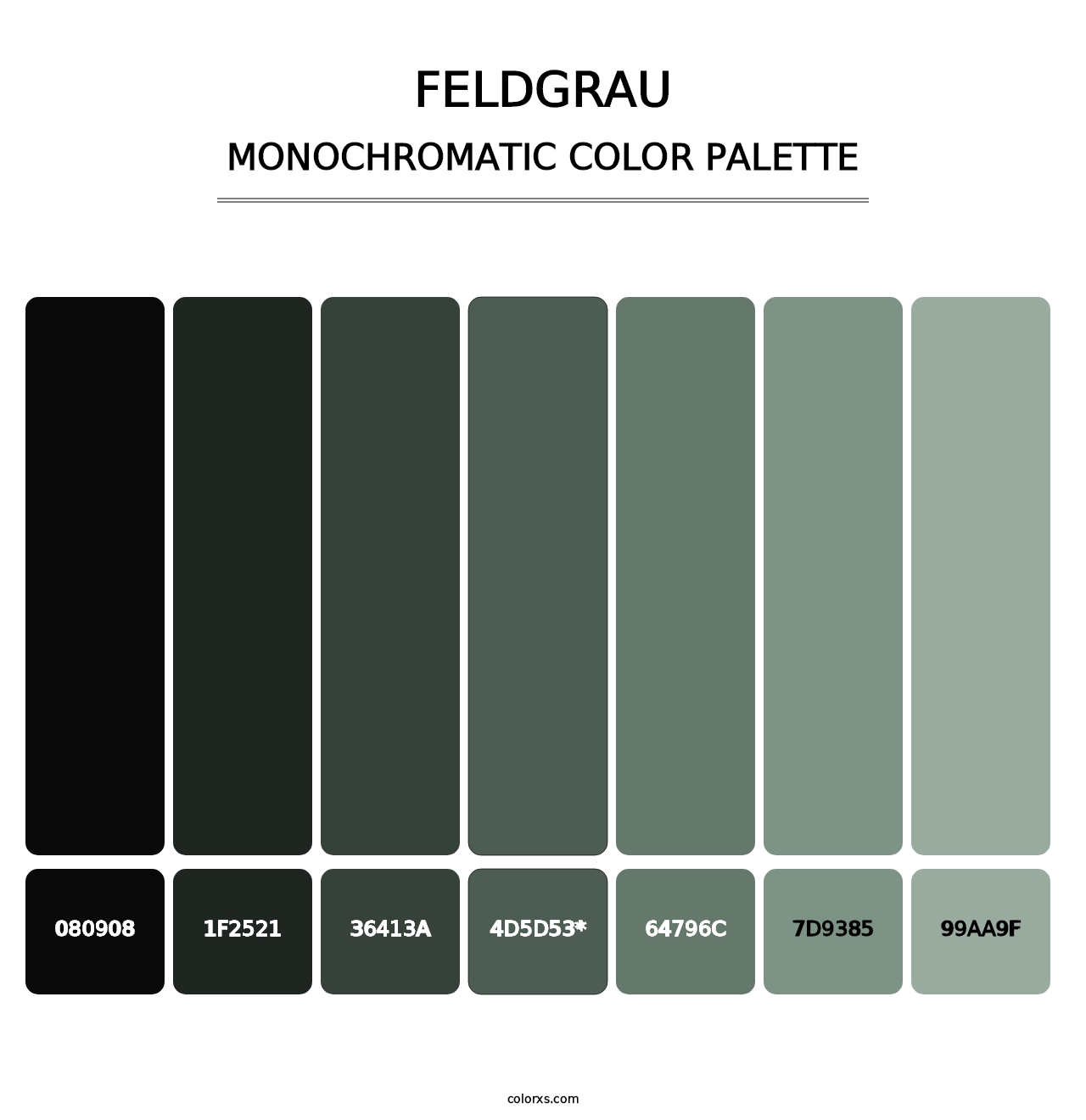 Feldgrau - Monochromatic Color Palette