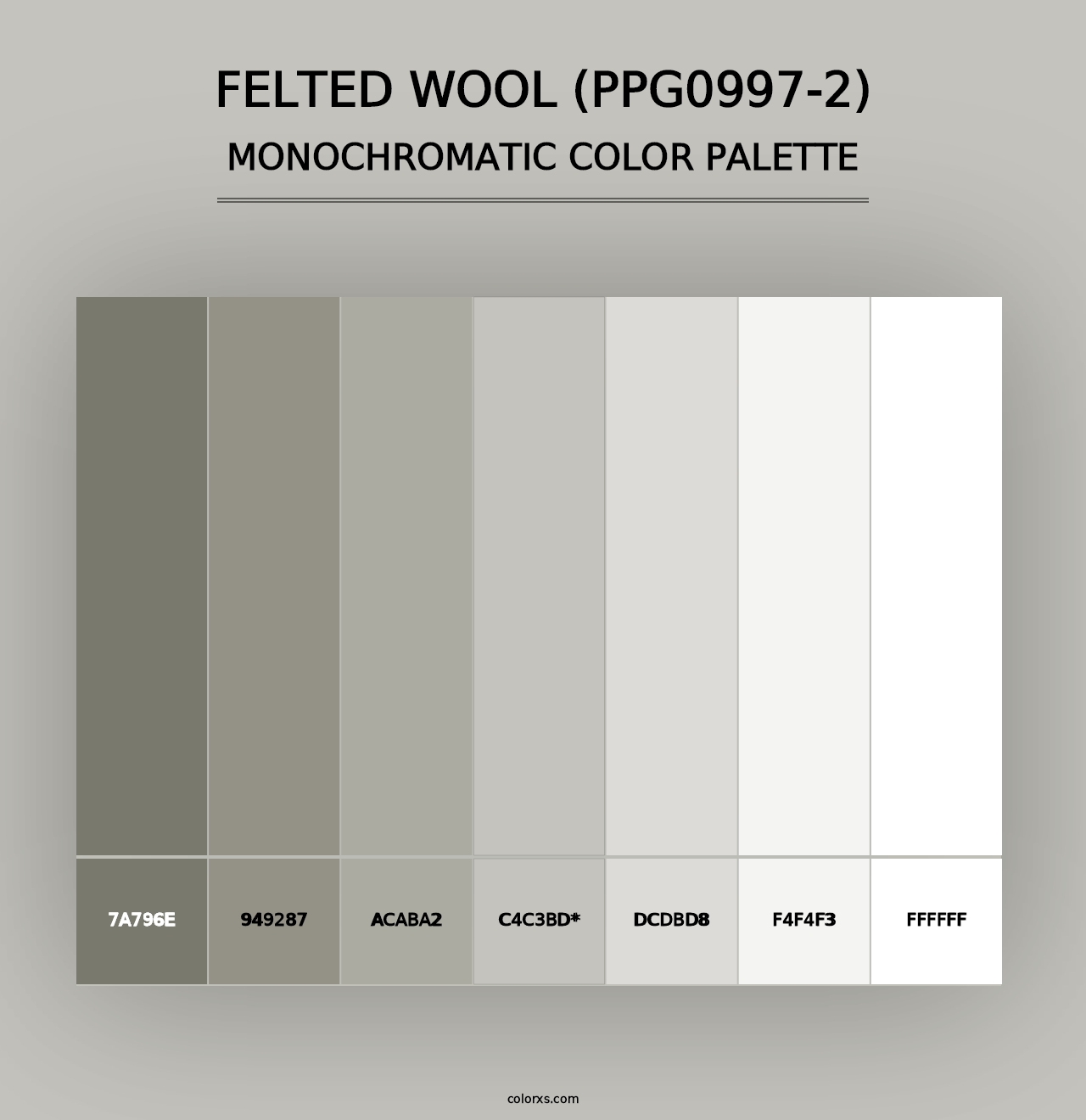 Felted Wool (PPG0997-2) - Monochromatic Color Palette