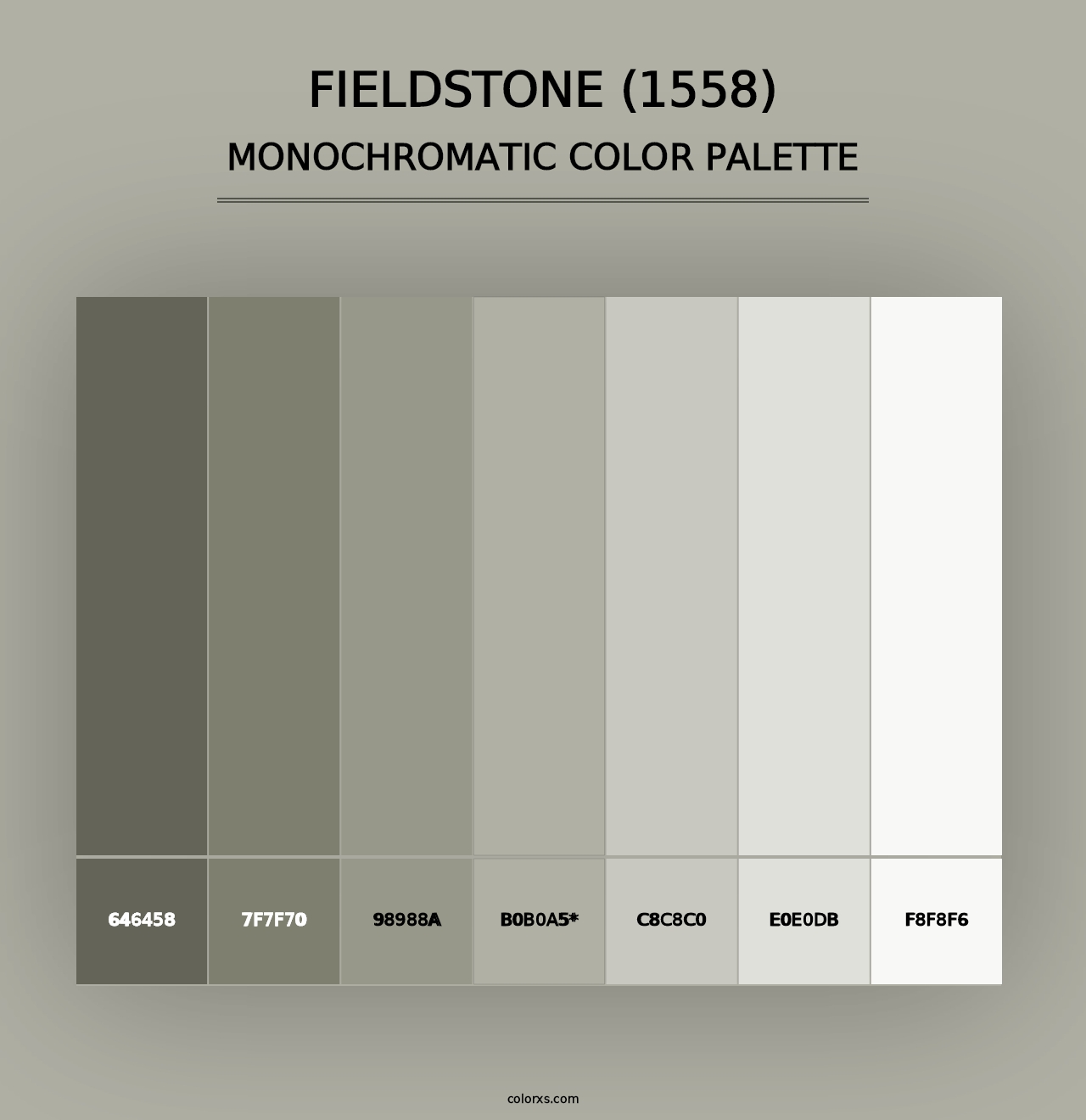 Fieldstone (1558) - Monochromatic Color Palette