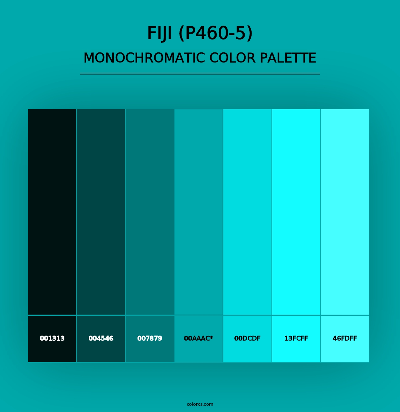 Fiji (P460-5) - Monochromatic Color Palette