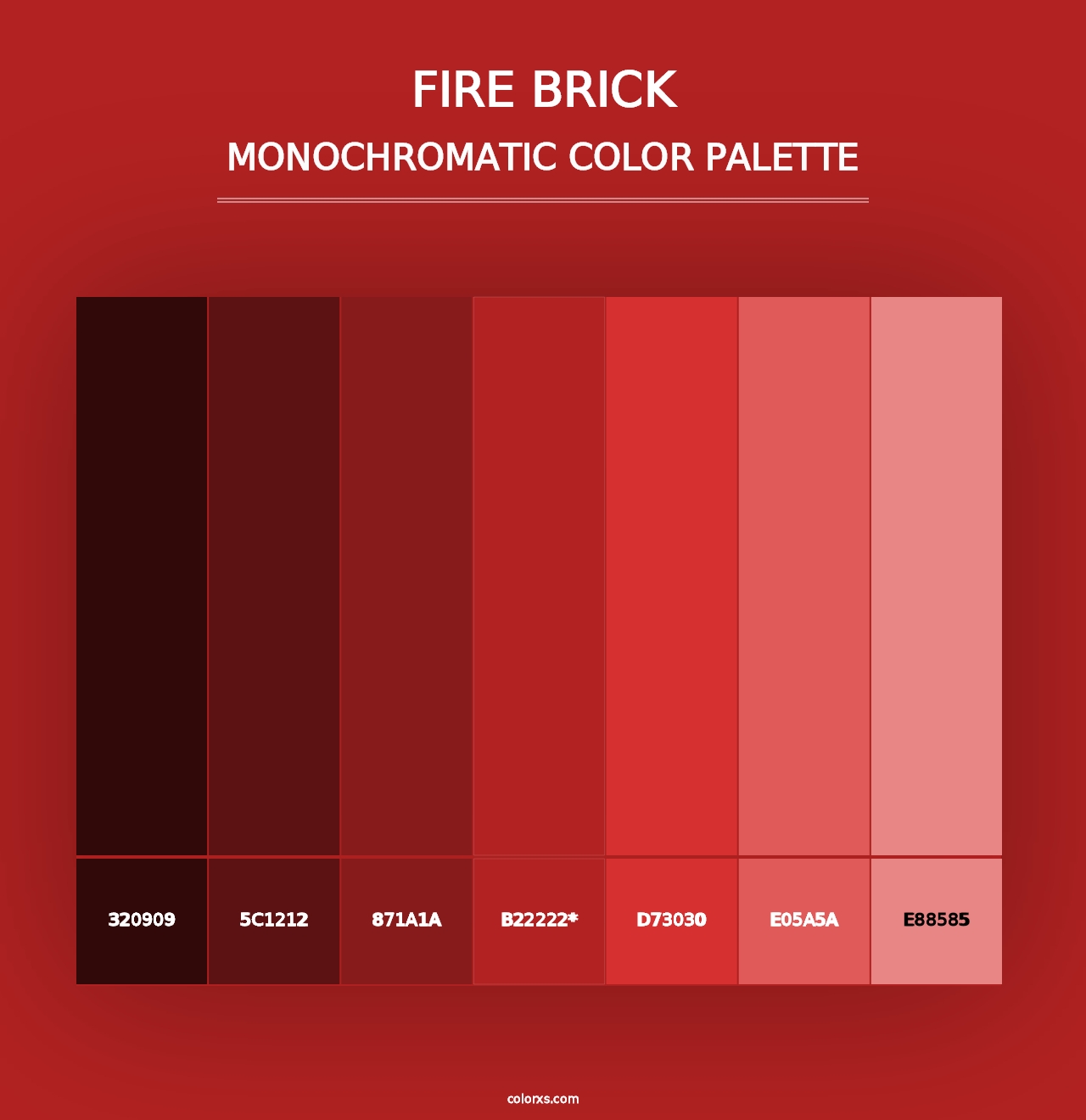 Fire Brick - Monochromatic Color Palette