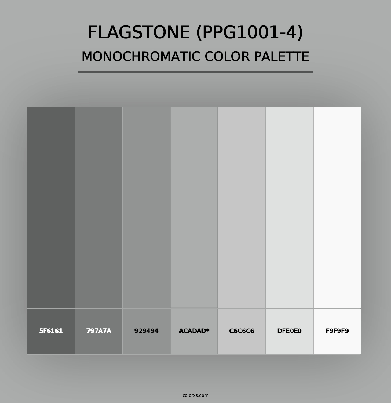 Flagstone (PPG1001-4) - Monochromatic Color Palette