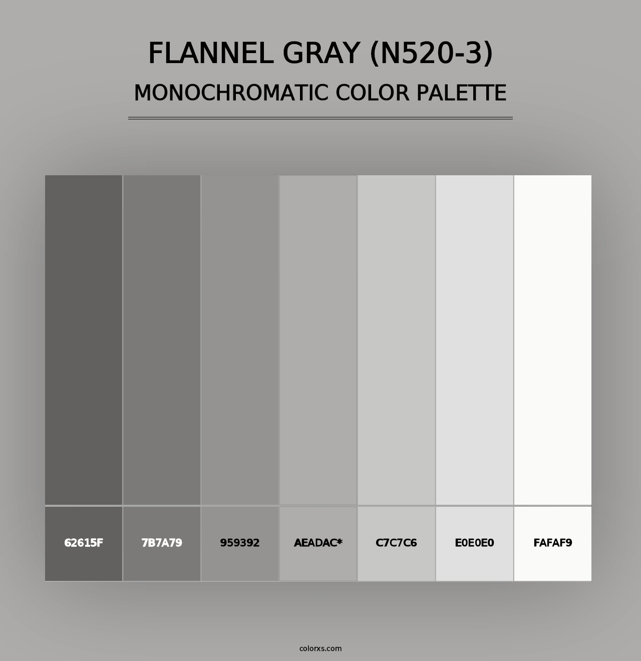 Flannel Gray (N520-3) - Monochromatic Color Palette