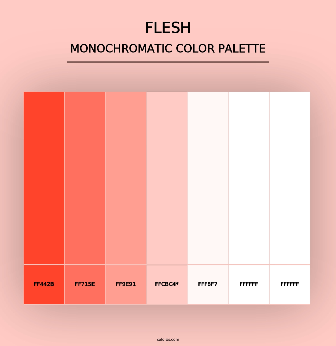 Flesh - Monochromatic Color Palette