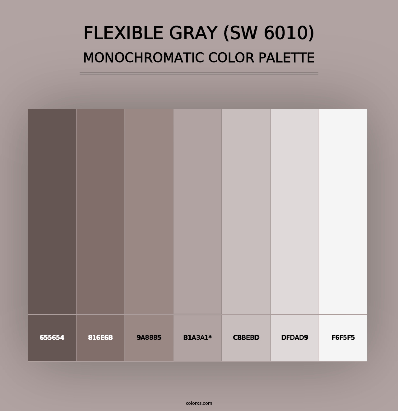 Flexible Gray (SW 6010) - Monochromatic Color Palette