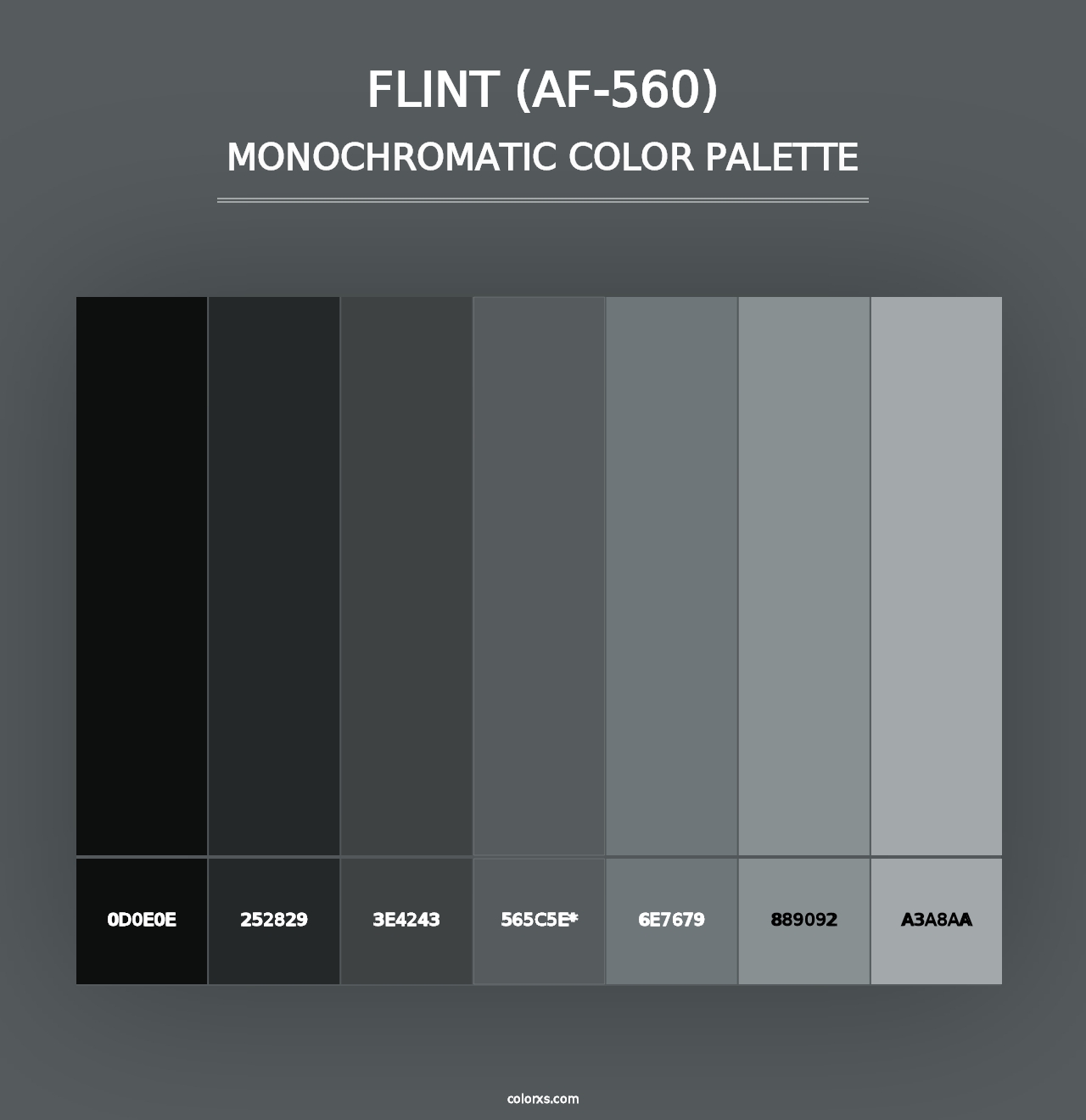 Flint (AF-560) - Monochromatic Color Palette