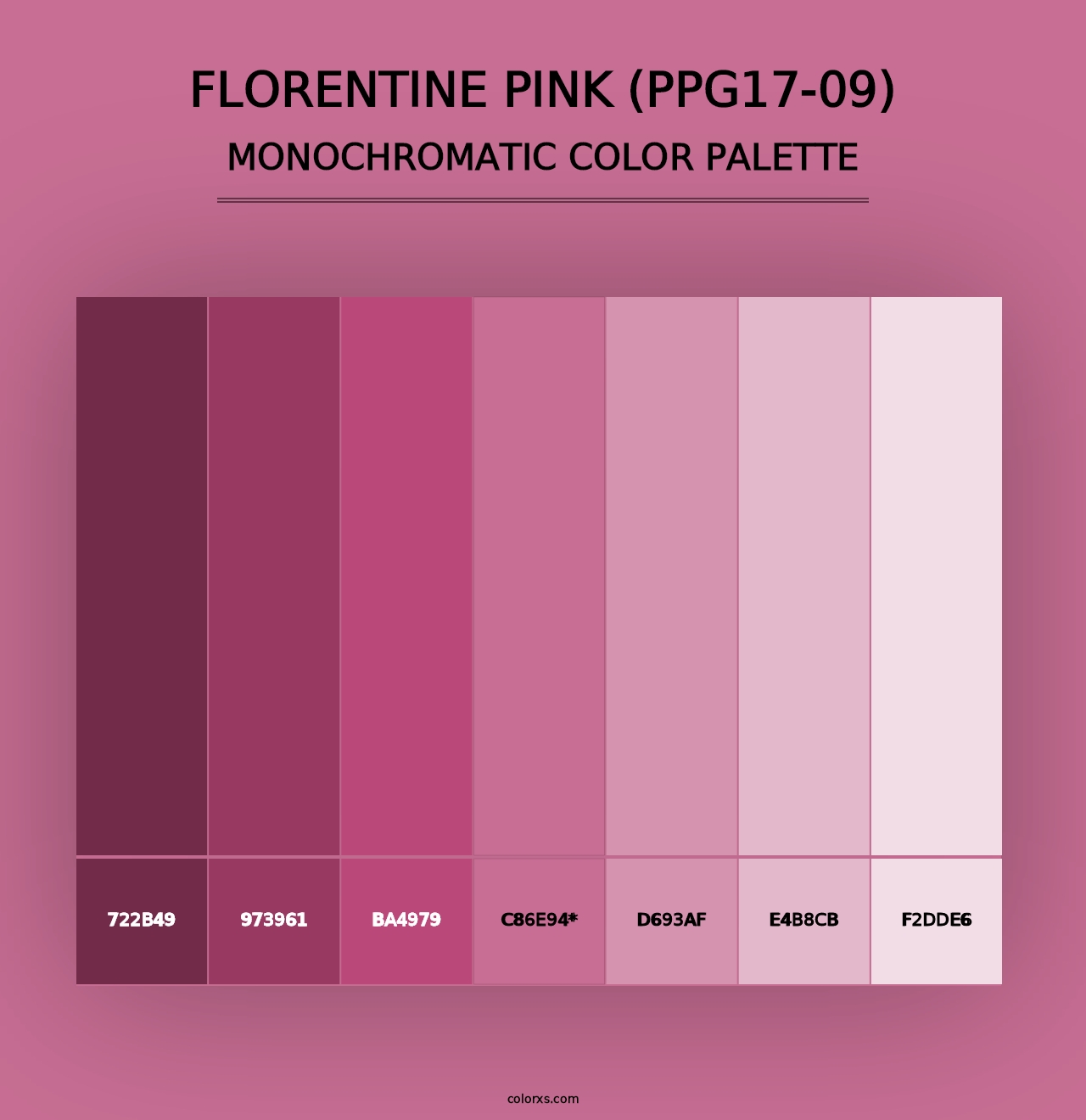 Florentine Pink (PPG17-09) - Monochromatic Color Palette