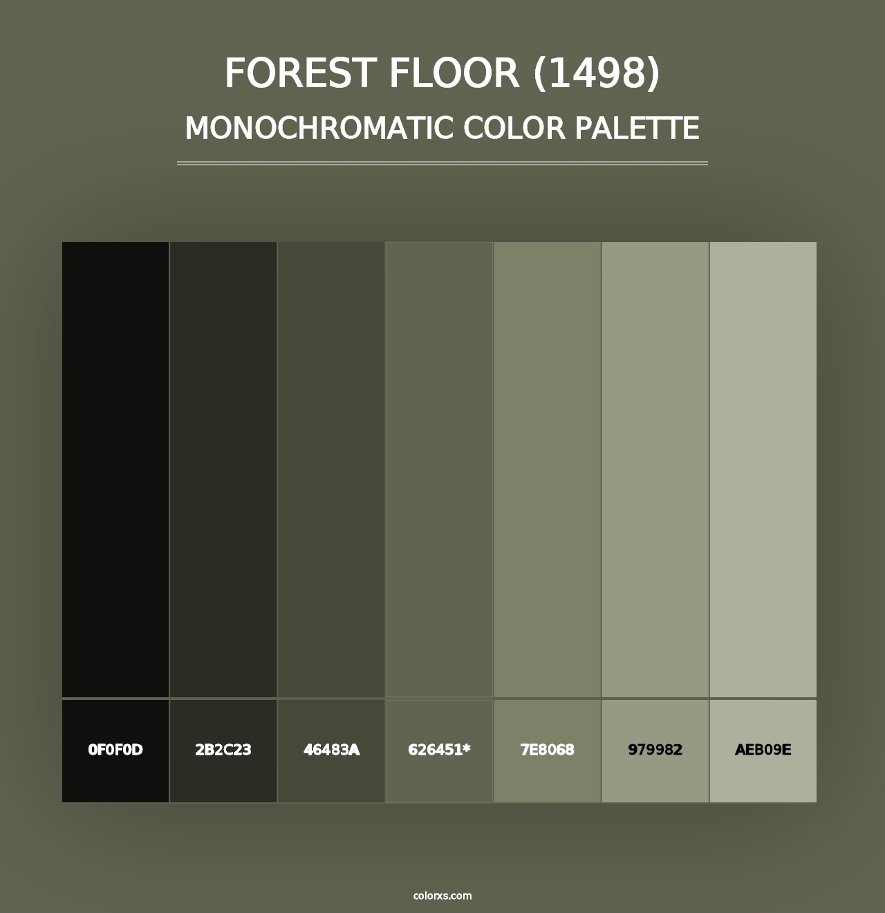 Forest Floor (1498) - Monochromatic Color Palette