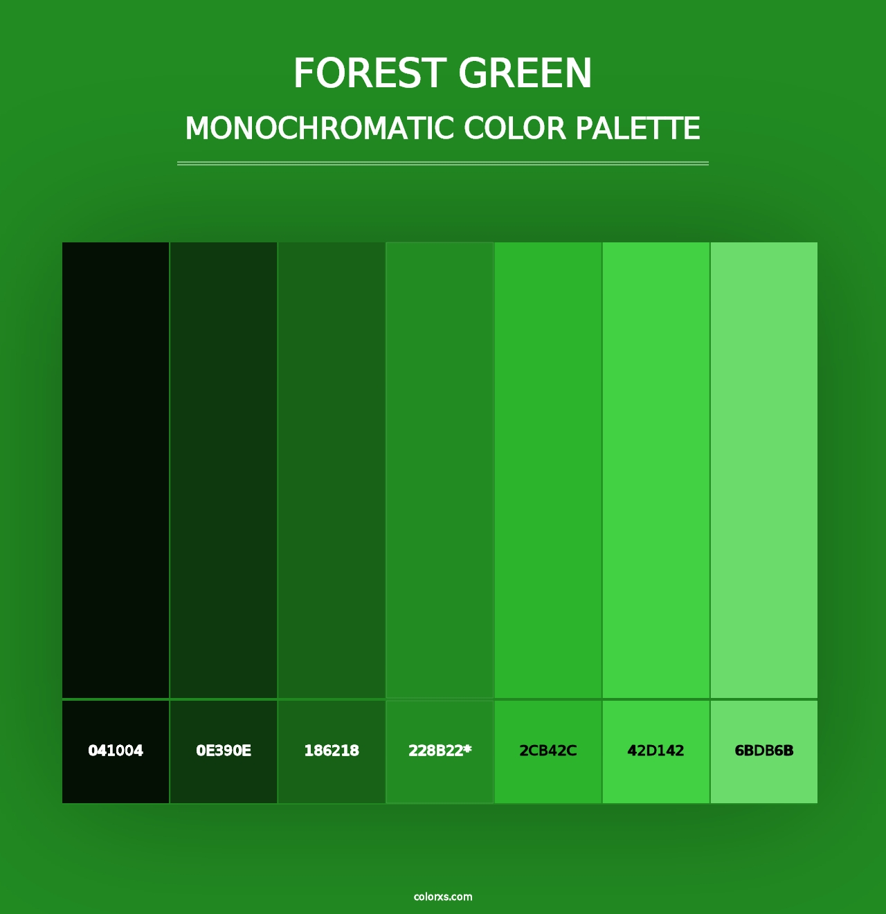 Forest green - Monochromatic Color Palette