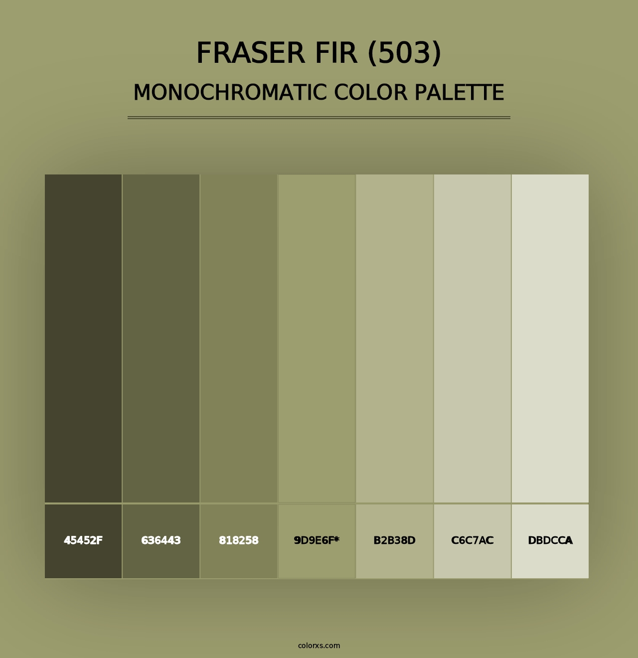 Fraser Fir (503) - Monochromatic Color Palette