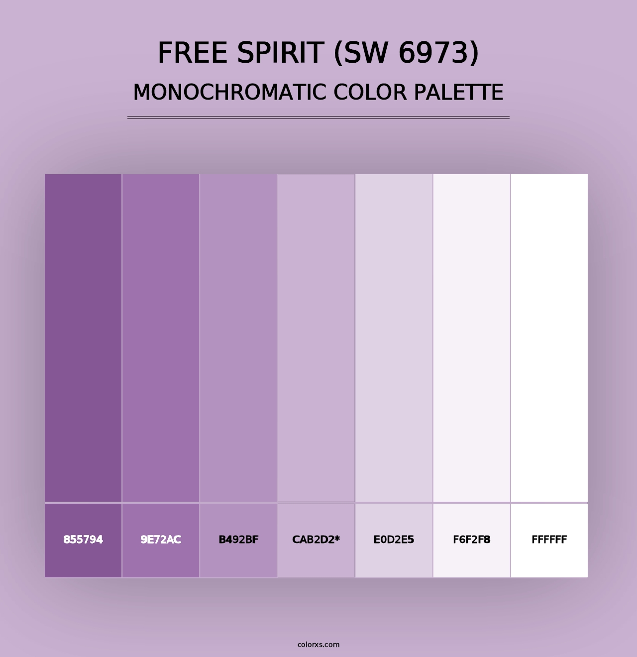 Free Spirit (SW 6973) - Monochromatic Color Palette