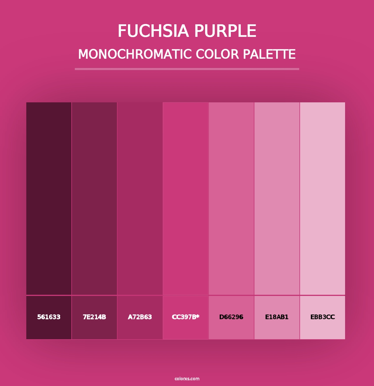 Fuchsia Purple - Monochromatic Color Palette