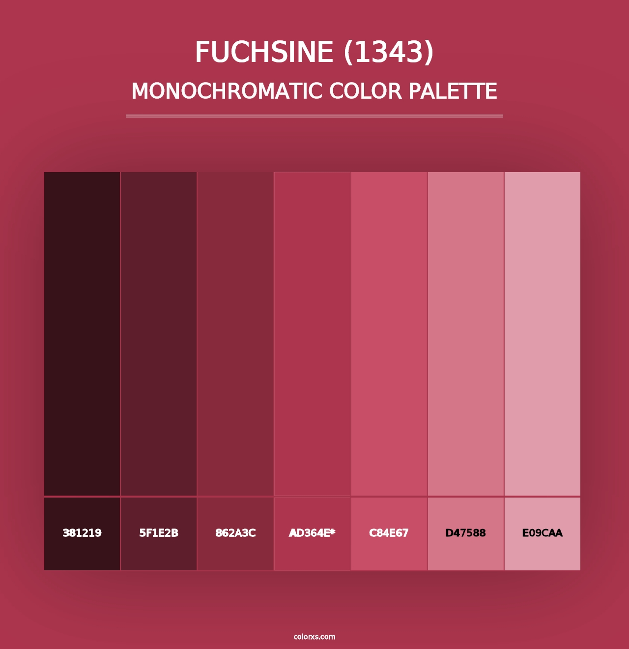 Fuchsine (1343) - Monochromatic Color Palette