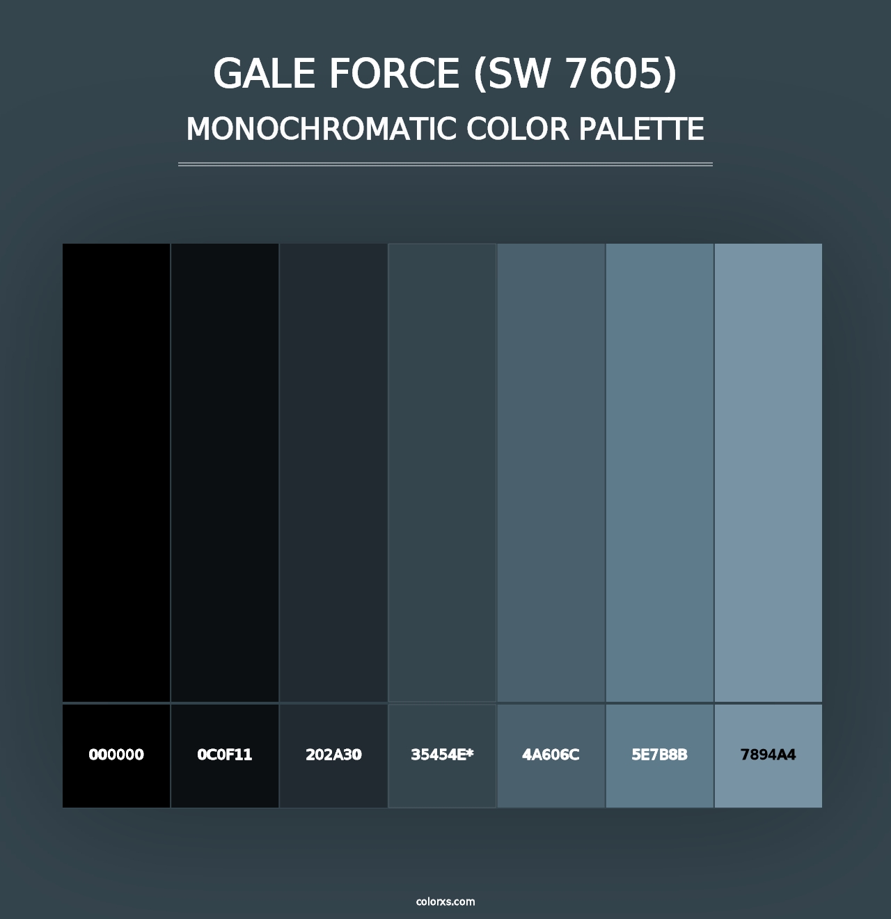 Gale Force (SW 7605) - Monochromatic Color Palette