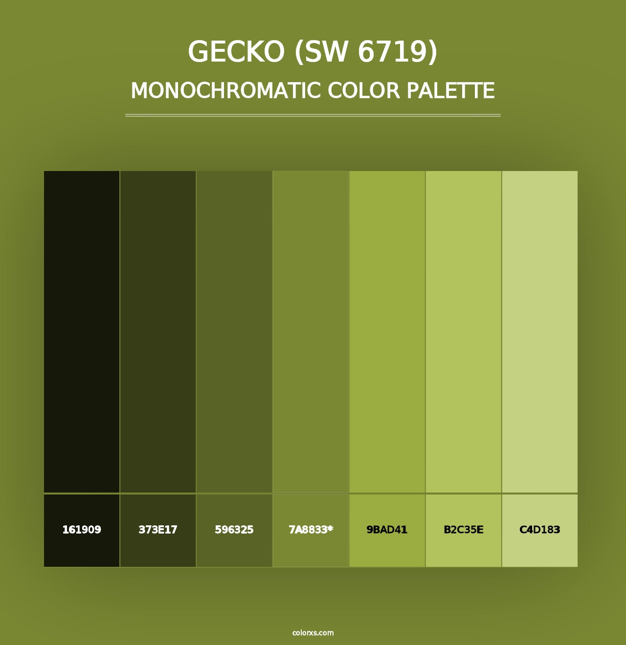 Gecko (SW 6719) - Monochromatic Color Palette