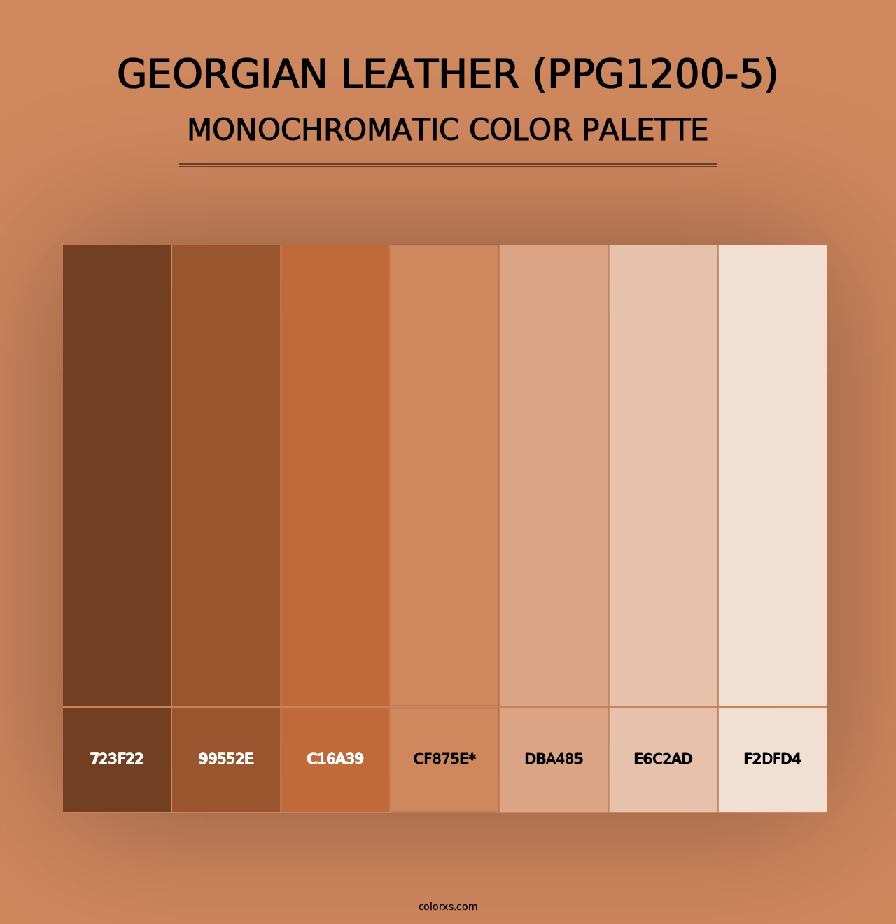 Georgian Leather (PPG1200-5) - Monochromatic Color Palette