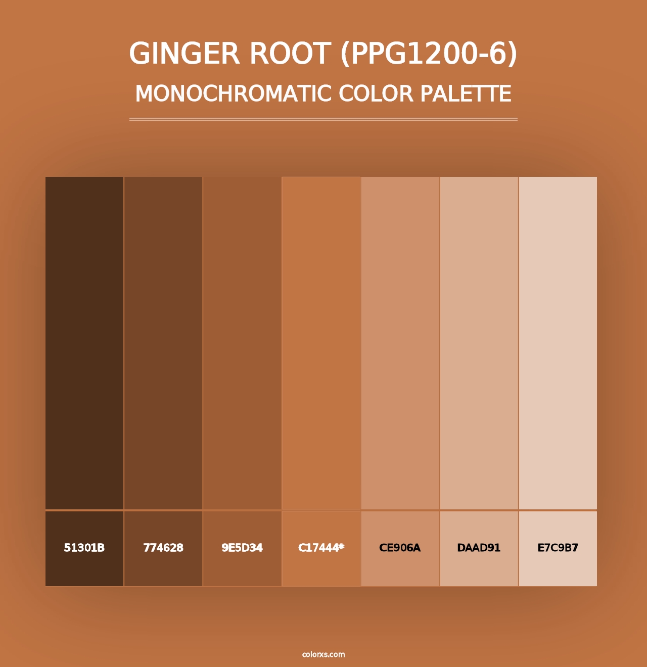 Ginger Root (PPG1200-6) - Monochromatic Color Palette