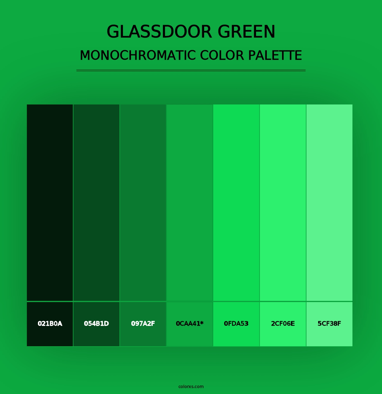 Glassdoor Green - Monochromatic Color Palette