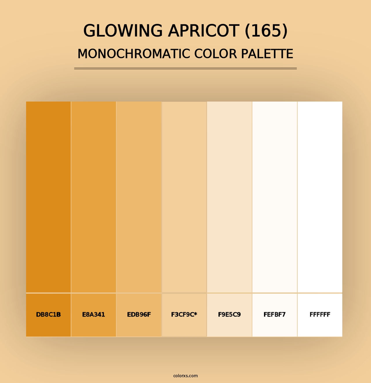 Glowing Apricot (165) - Monochromatic Color Palette