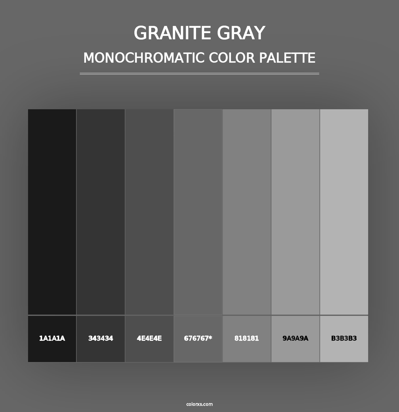 Granite Gray - Monochromatic Color Palette