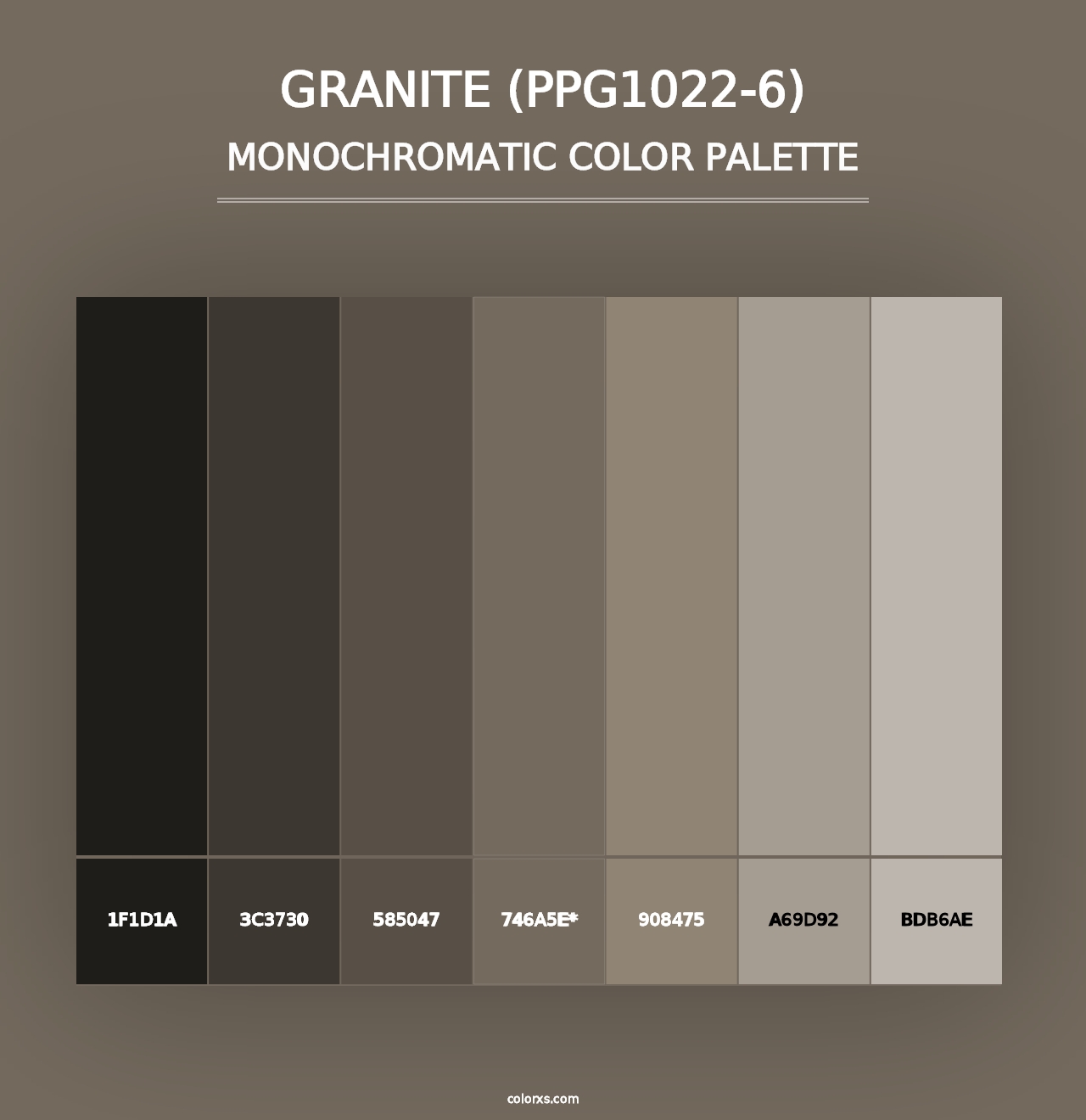 Granite (PPG1022-6) - Monochromatic Color Palette