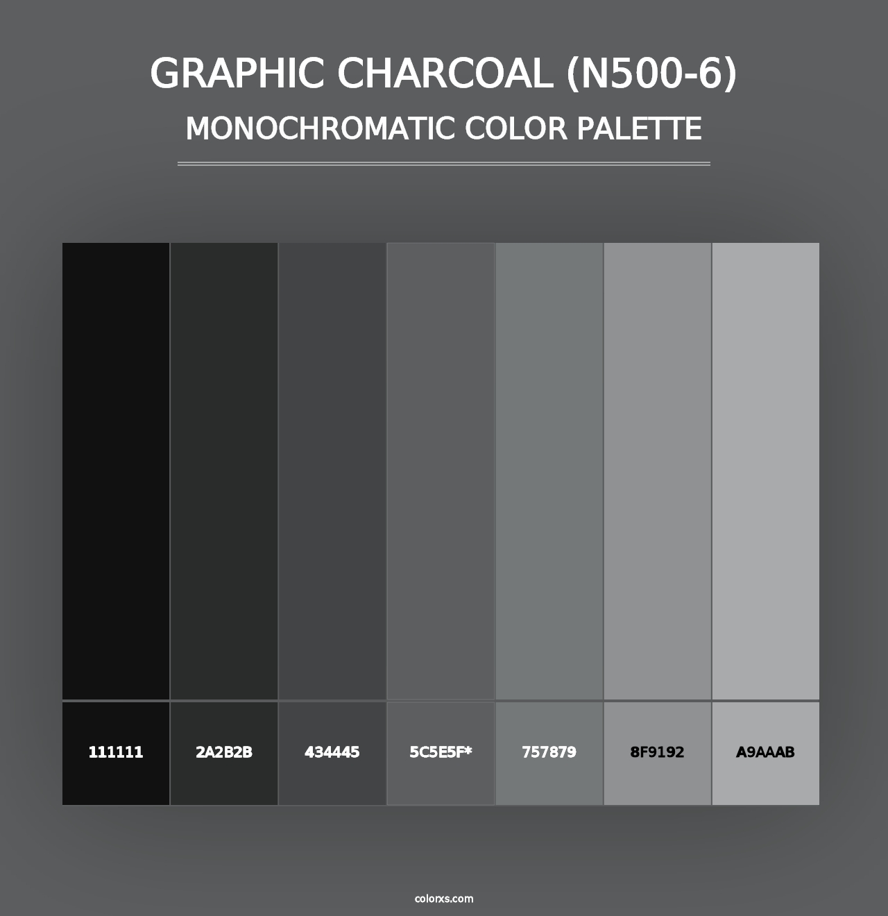 Graphic Charcoal (N500-6) - Monochromatic Color Palette