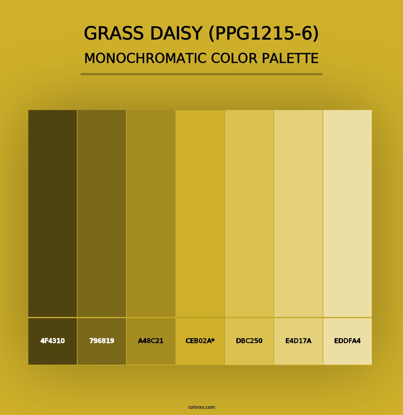 Grass Daisy (PPG1215-6) - Monochromatic Color Palette