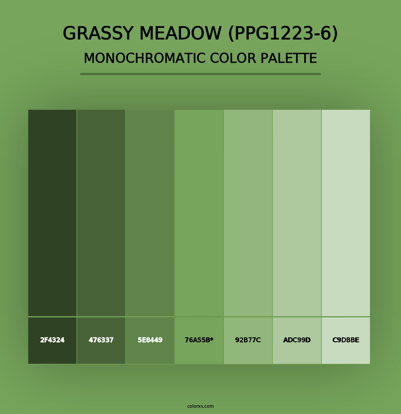 Grassy Meadow (PPG1223-6) - Monochromatic Color Palette