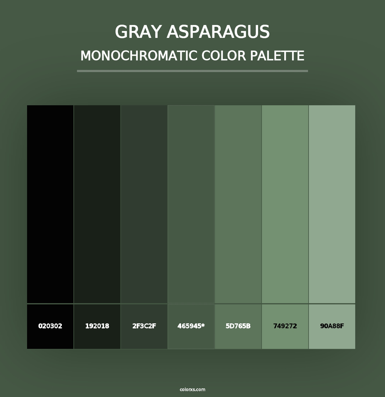 Gray Asparagus - Monochromatic Color Palette