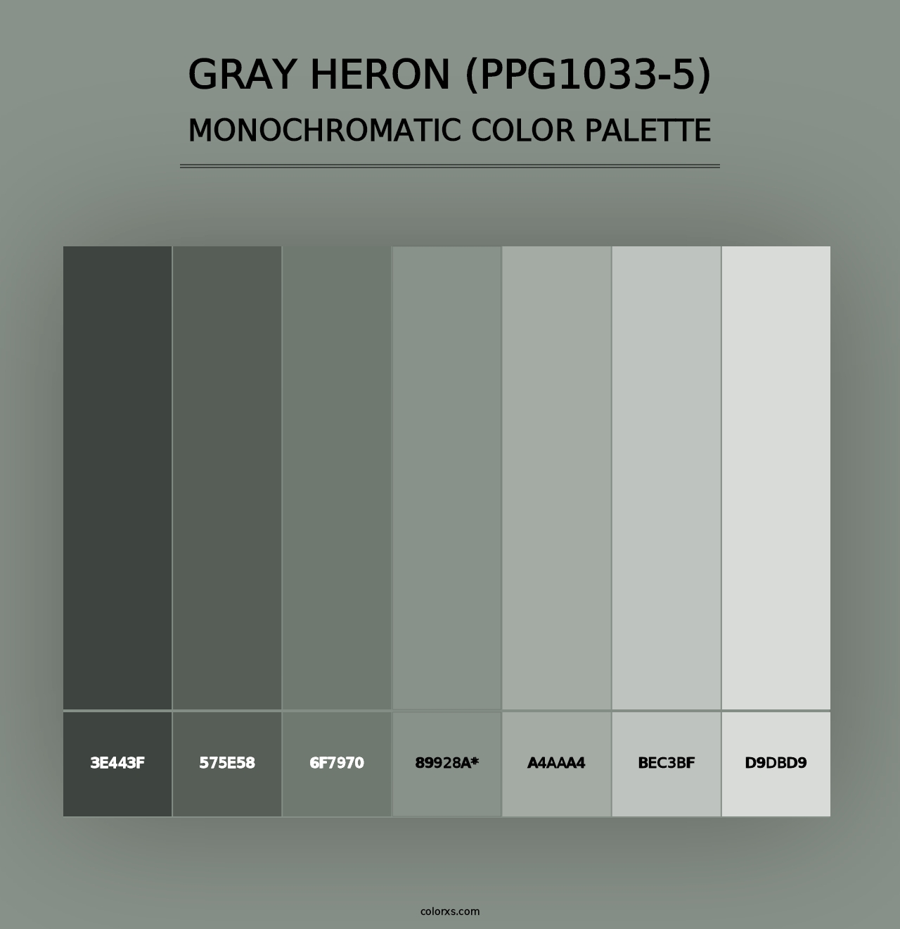 Gray Heron (PPG1033-5) - Monochromatic Color Palette