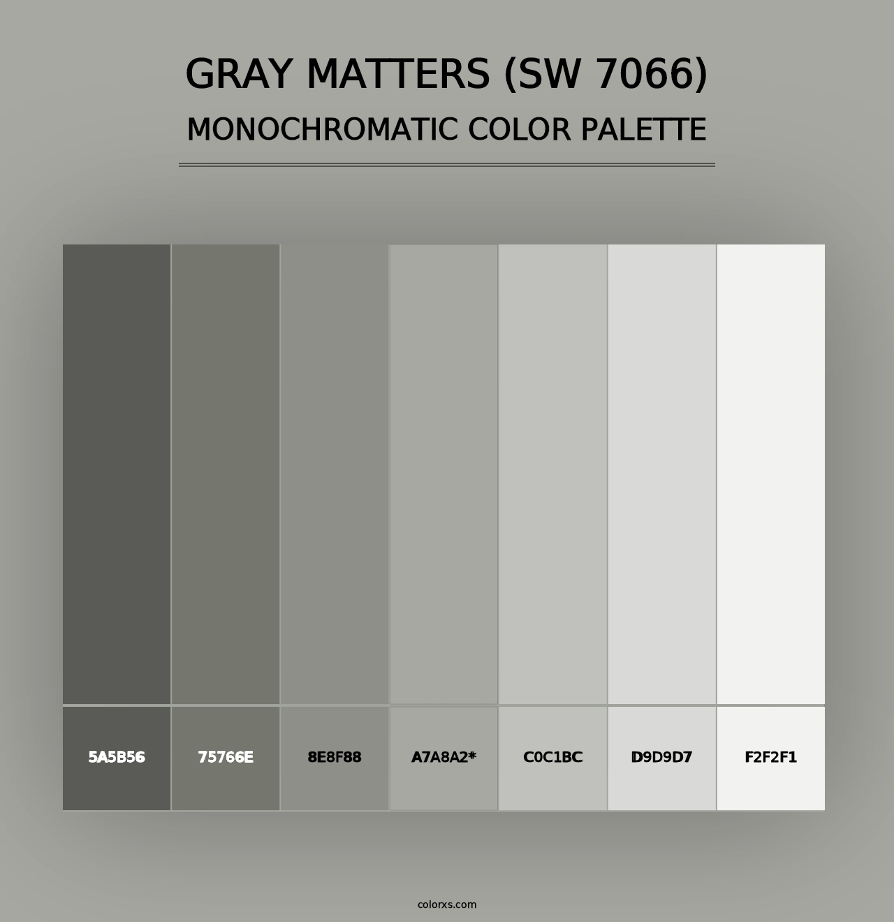 Gray Matters (SW 7066) - Monochromatic Color Palette