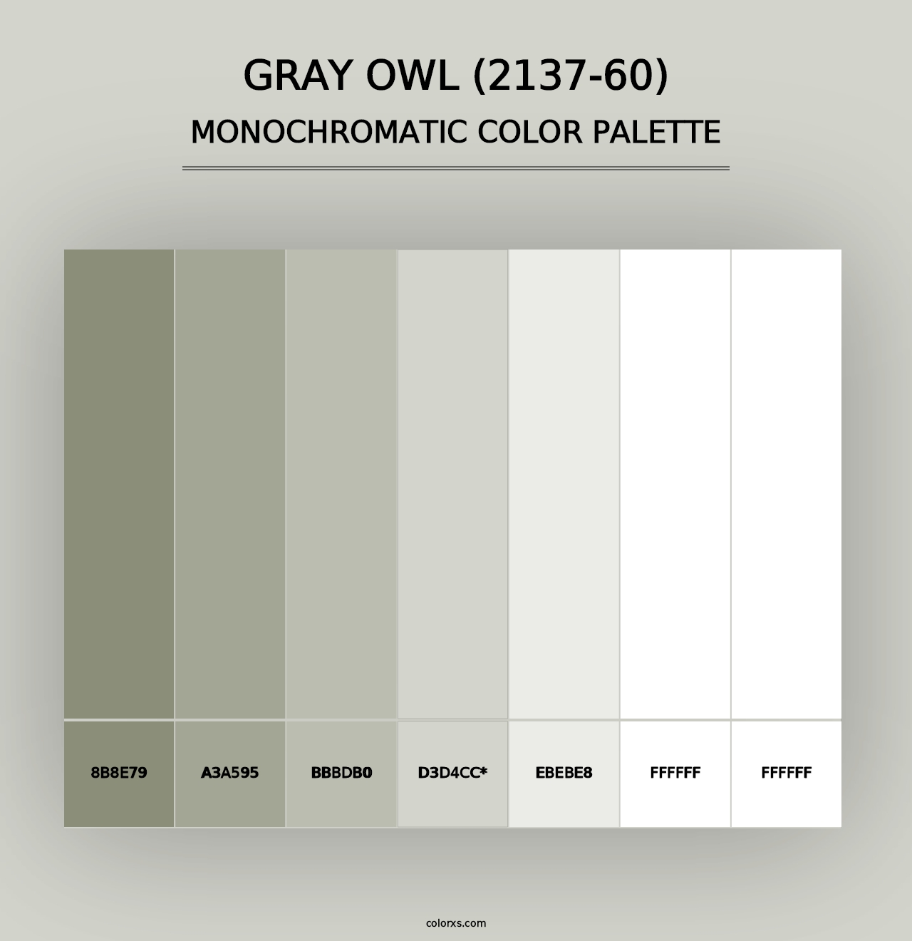 Gray Owl (2137-60) - Monochromatic Color Palette