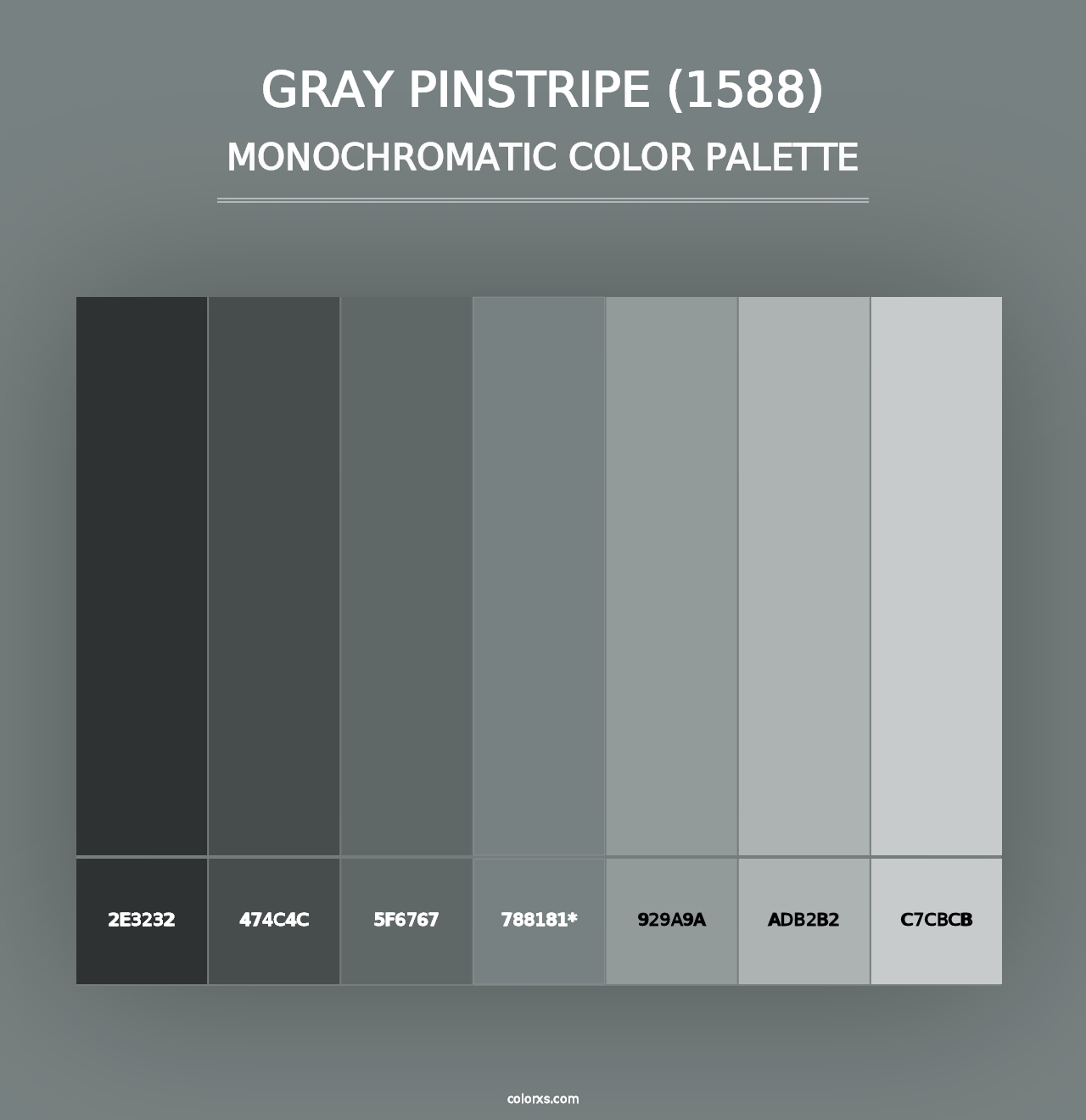 Gray Pinstripe (1588) - Monochromatic Color Palette