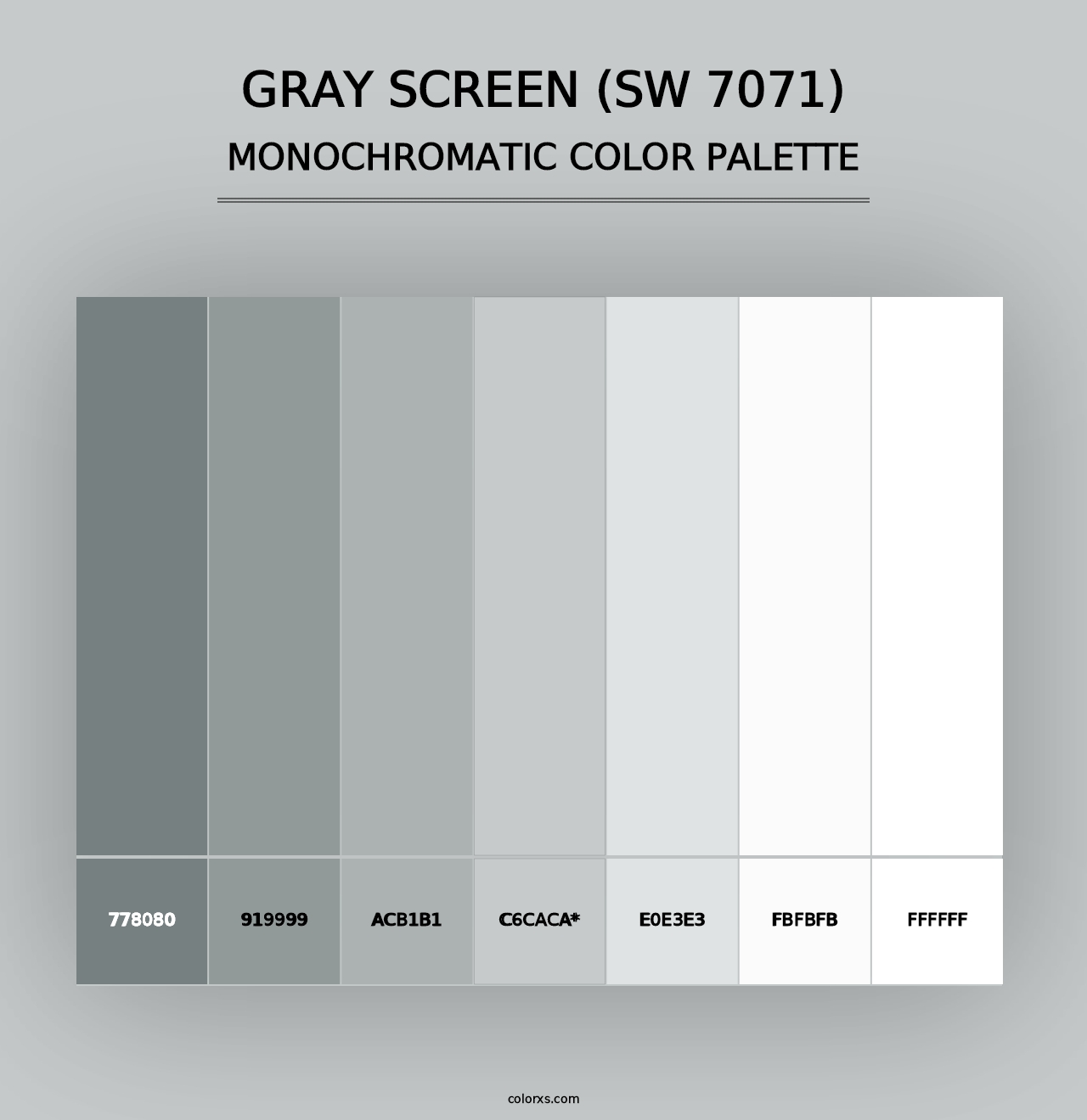 Gray Screen (SW 7071) - Monochromatic Color Palette