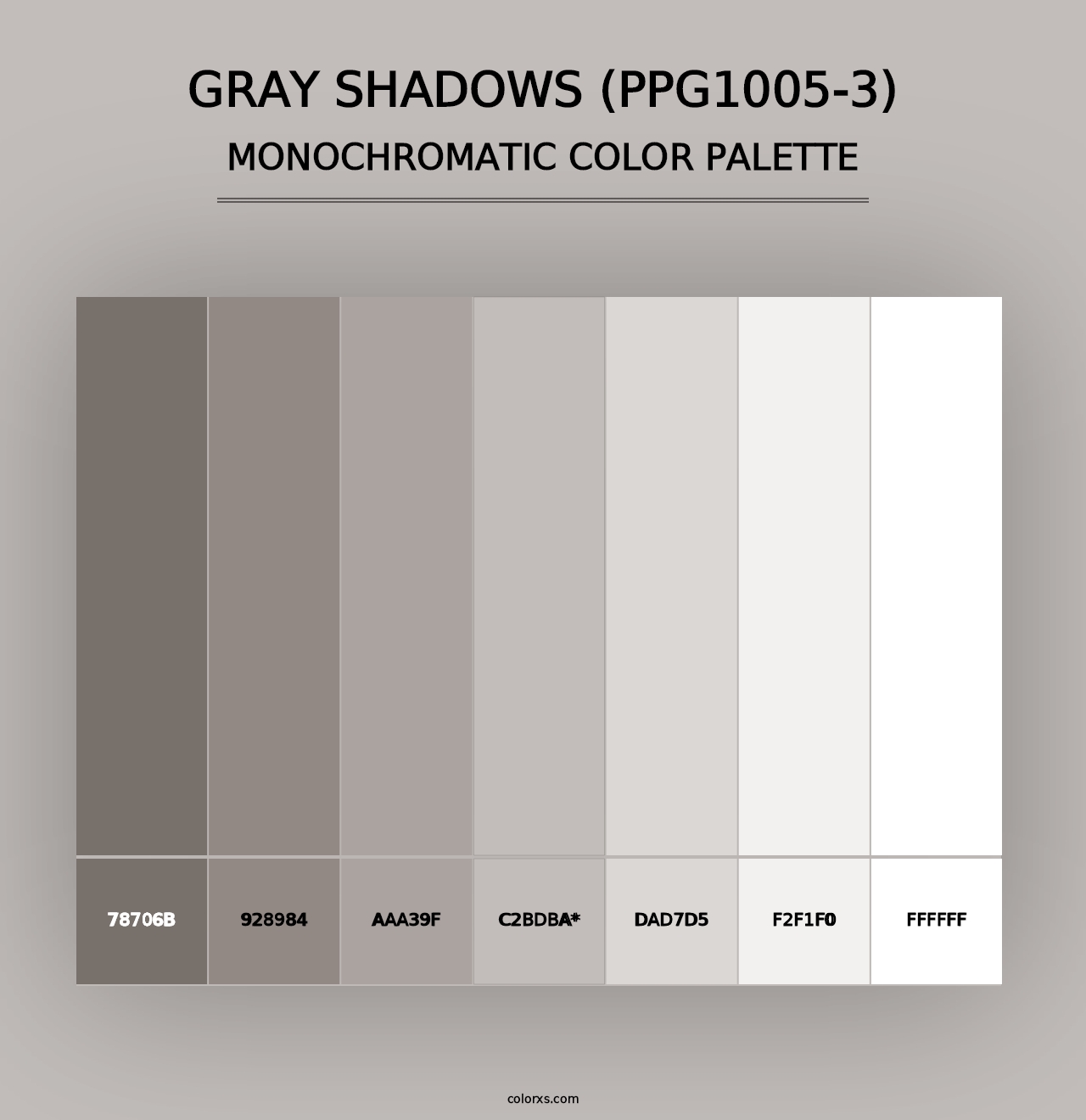 Gray Shadows (PPG1005-3) - Monochromatic Color Palette