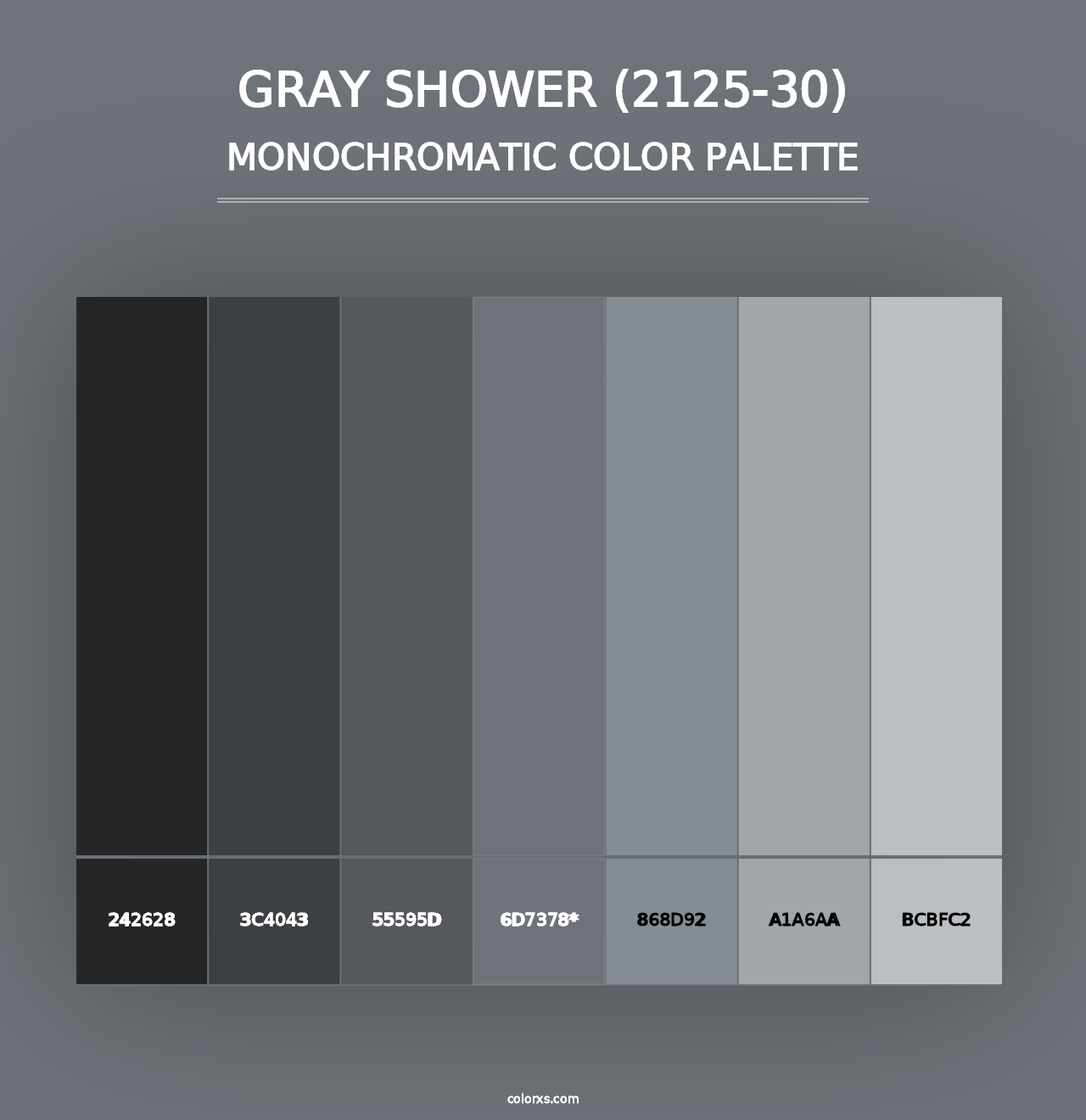 Gray Shower (2125-30) - Monochromatic Color Palette