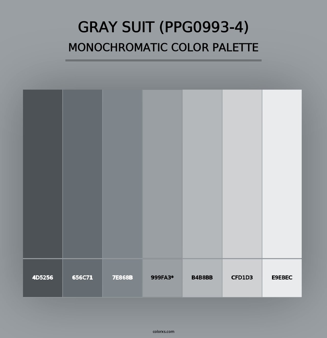 Gray Suit (PPG0993-4) - Monochromatic Color Palette