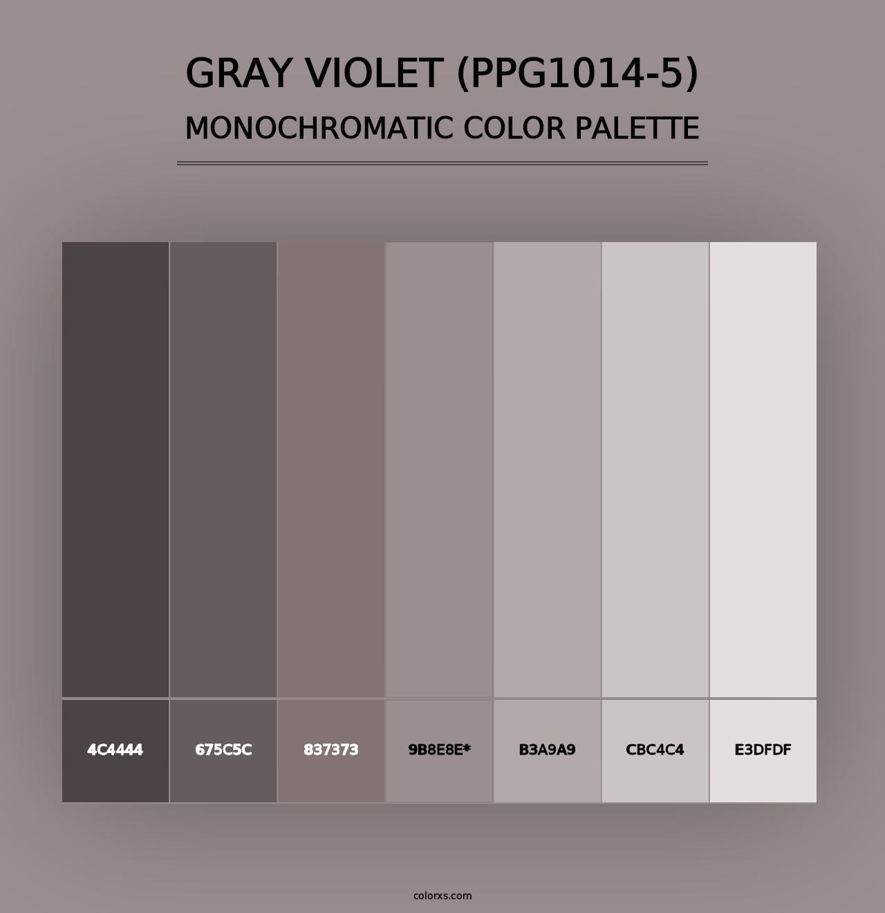 Gray Violet (PPG1014-5) - Monochromatic Color Palette