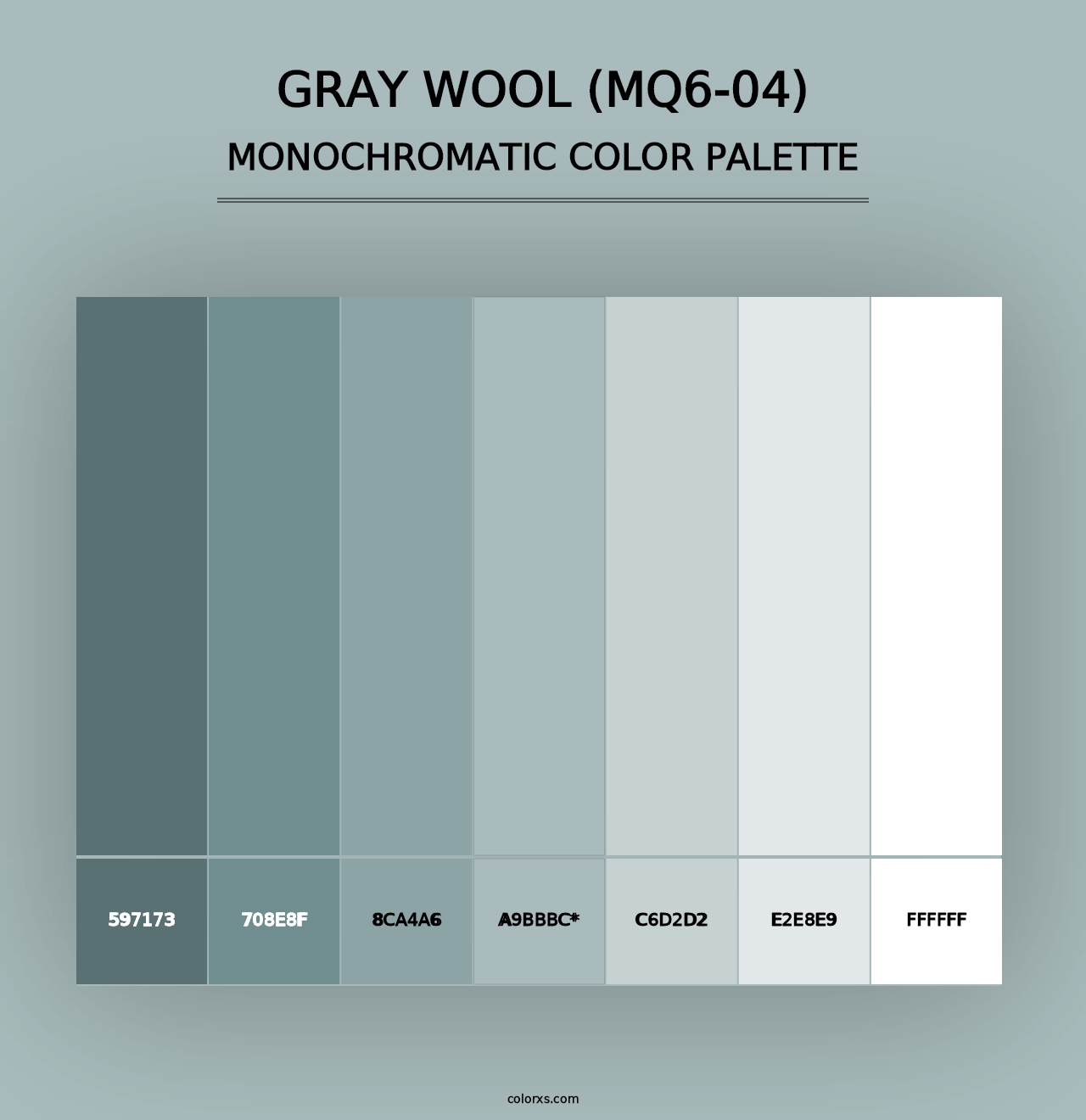 Gray Wool (MQ6-04) - Monochromatic Color Palette