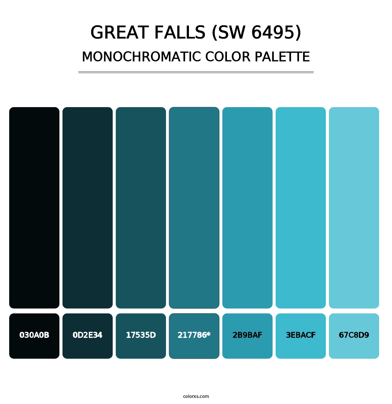 Great Falls (SW 6495) - Monochromatic Color Palette