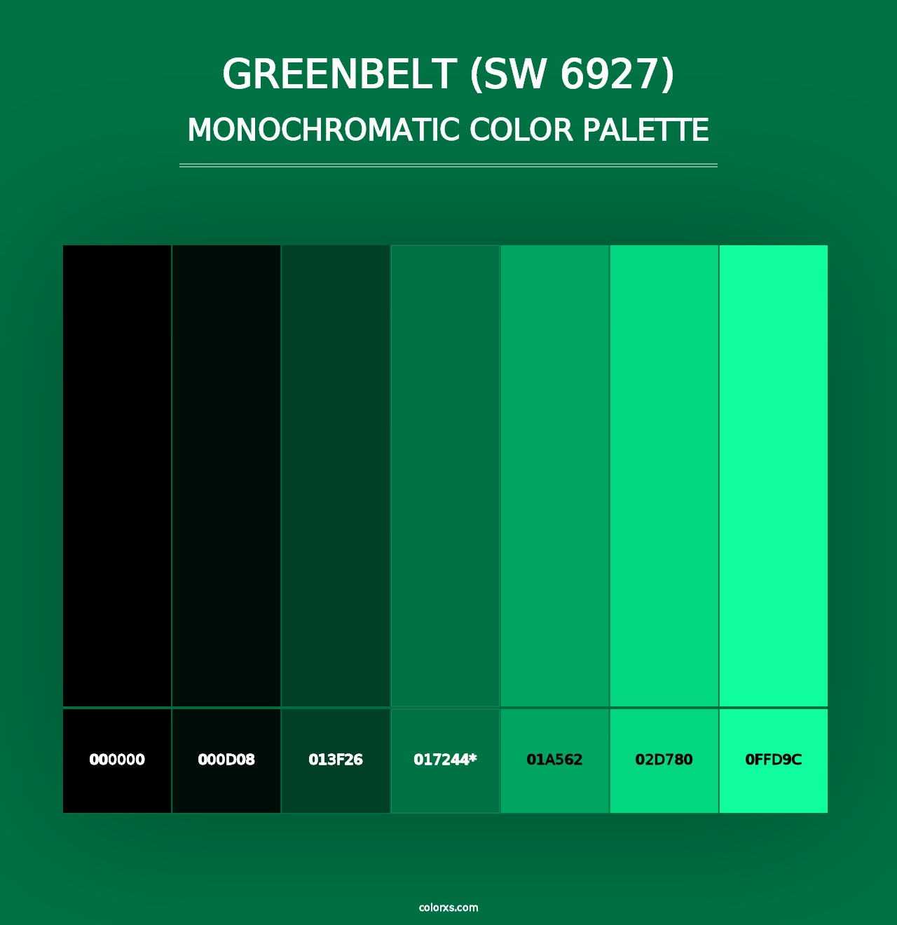 Greenbelt (SW 6927) - Monochromatic Color Palette