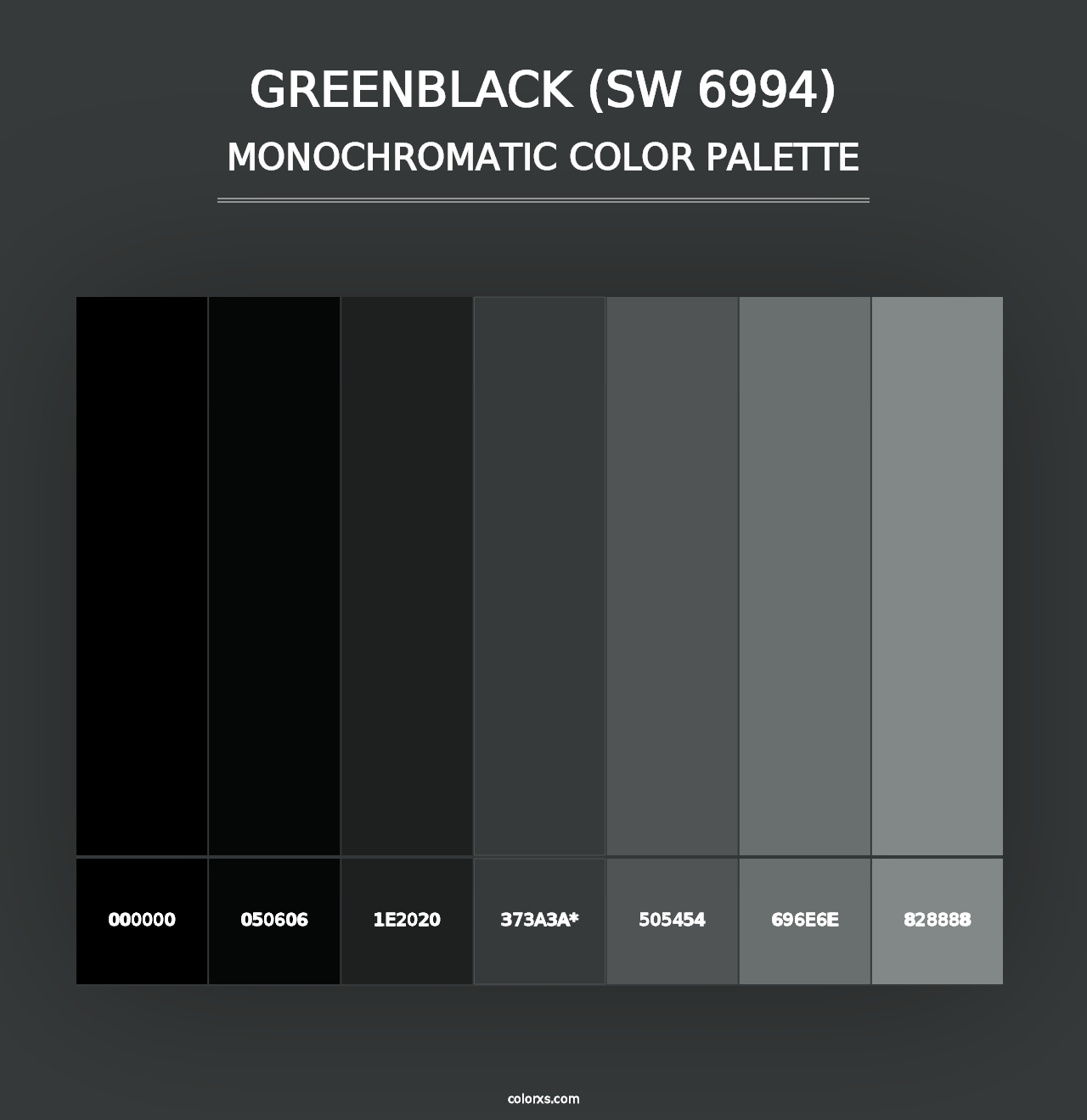 Greenblack (SW 6994) - Monochromatic Color Palette