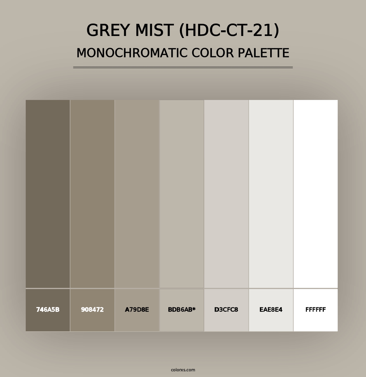 Grey Mist (HDC-CT-21) - Monochromatic Color Palette