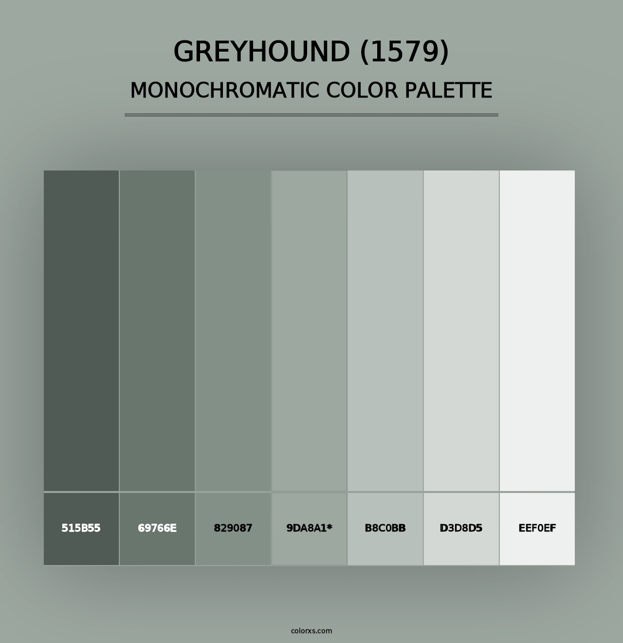 Greyhound (1579) - Monochromatic Color Palette